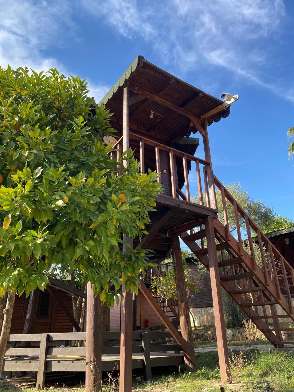 Olympos Talara By Arzum Hotel Kumluca Exterior foto